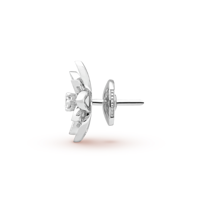 10002_cf6fa930-3cb8-4dfa-ad29-1e85c709788e