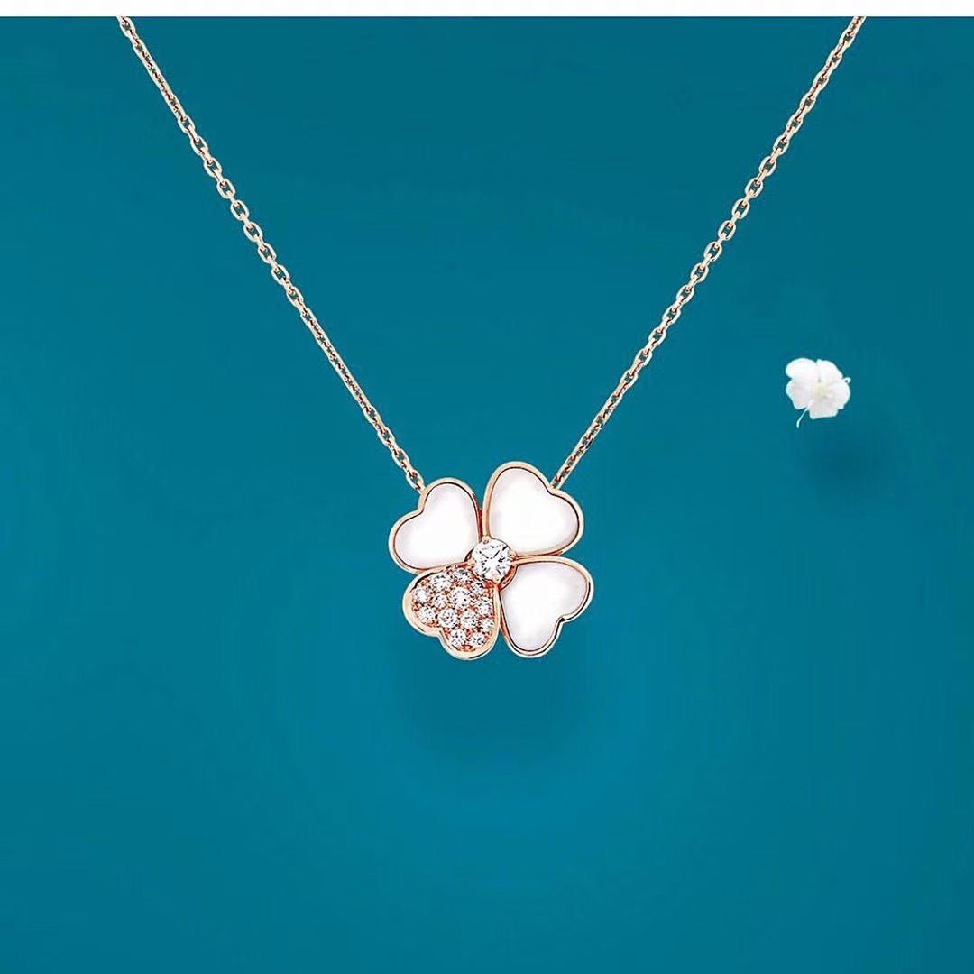 img_002_2a5e4ddd-05e6-4bcc-bc69-76448971dfc1