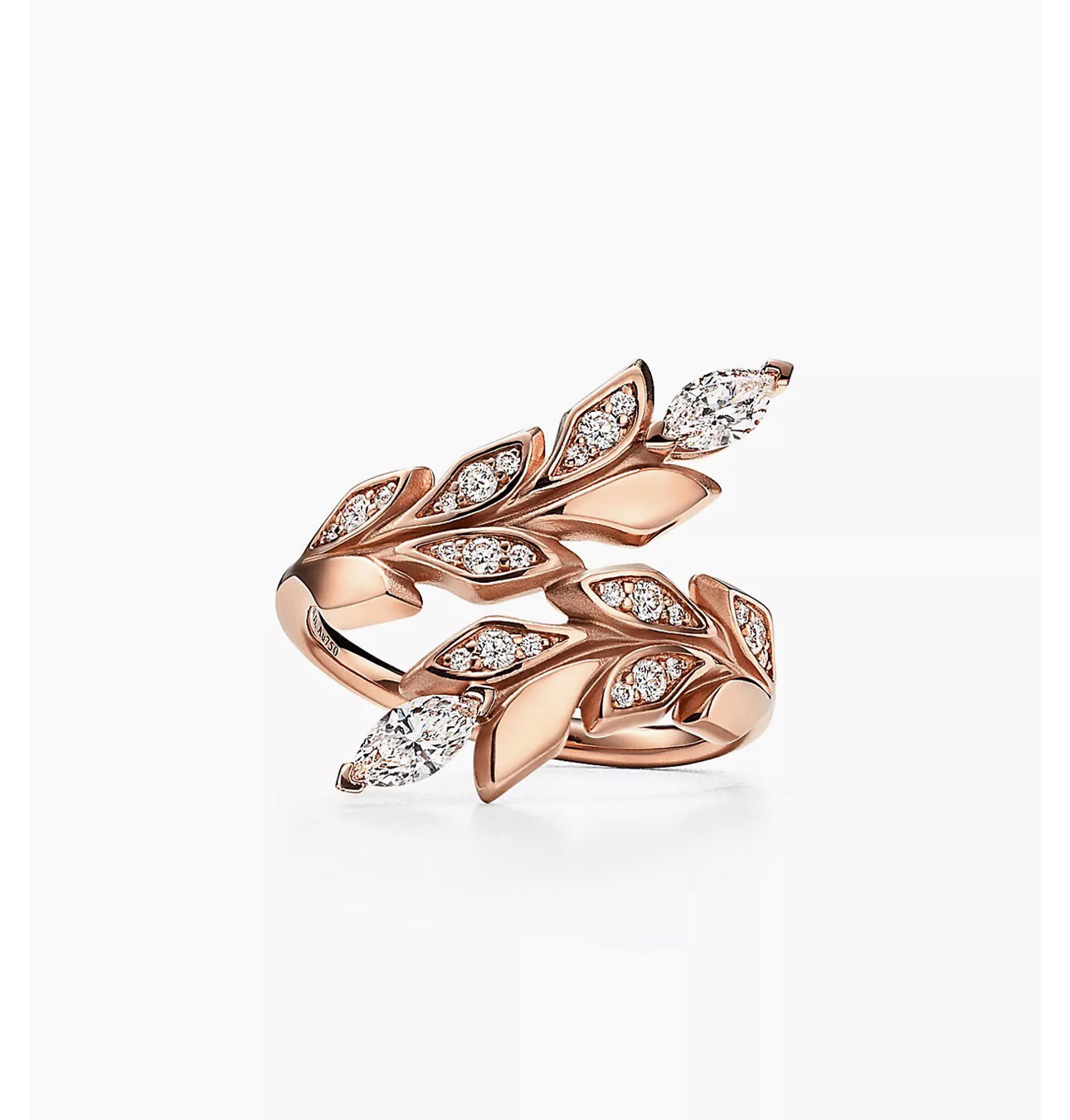 img_002_a3e35ee2-1b25-4249-a4b0-b5c4a4fdc2a9